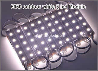 CINA Il modulo impermeabile della luce della parte posteriore del modulo LED di SMD 5050 LED per le lettere DC12V 1.2W 5 del segno ha condotto il CE ROHS 20pcs/string di 75mm*12mm fornitore