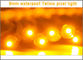Progettazione impermeabile all'aperto Cina della pubblicità della nuova di progettazione 9mm LED luce gialla 12mm IP68 5V del punto fornitore